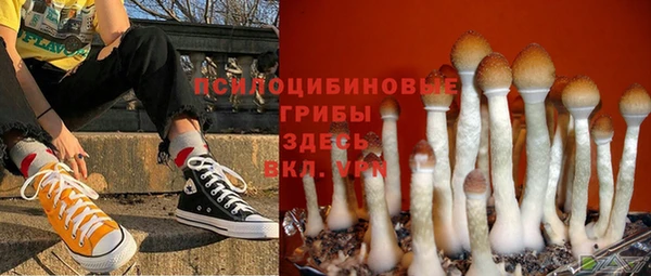 ALPHA-PVP Бородино