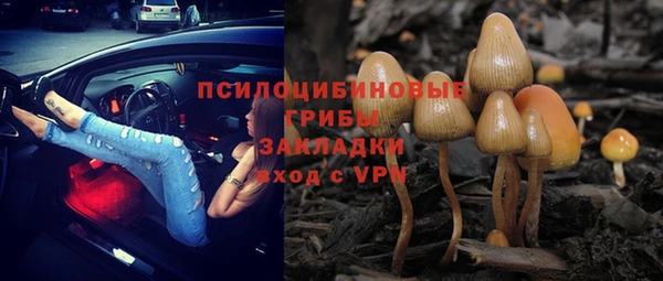 ALPHA-PVP Бородино