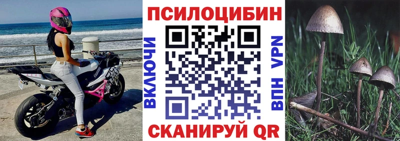 цены наркотик  Далматово  hydra как зайти  Псилоцибиновые грибы мухоморы 